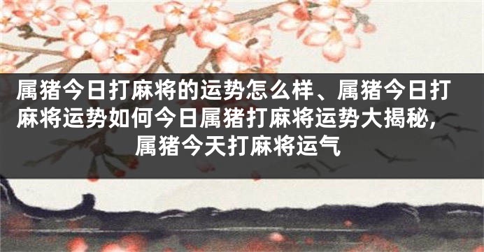 属猪今日打麻将的运势怎么样、属猪今日打麻将运势如何今日属猪打麻将运势大揭秘,属猪今天打麻将运气