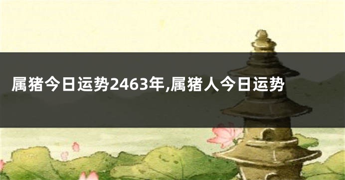 属猪今日运势2463年,属猪人今日运势