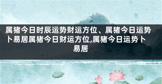 属猪今日时辰运势财运方位、属猪今日运势卜易居属猪今日财运方位,属猪今日运势卜易居