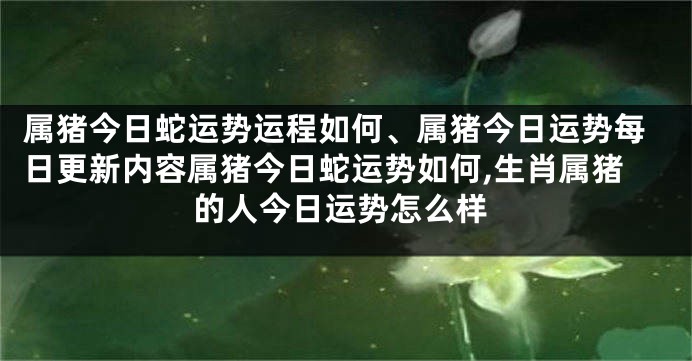 属猪今日蛇运势运程如何、属猪今日运势每日更新内容属猪今日蛇运势如何,生肖属猪的人今日运势怎么样