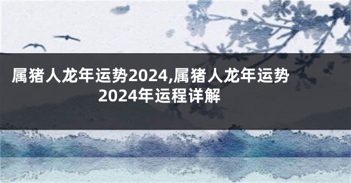 属猪人龙年运势2024,属猪人龙年运势2024年运程详解