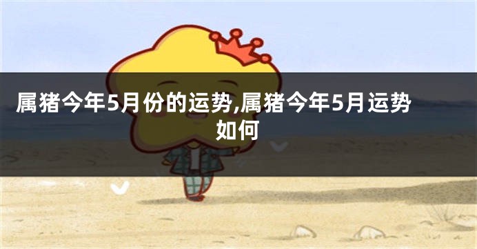 属猪今年5月份的运势,属猪今年5月运势如何