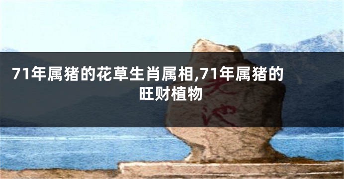 71年属猪的花草生肖属相,71年属猪的旺财植物