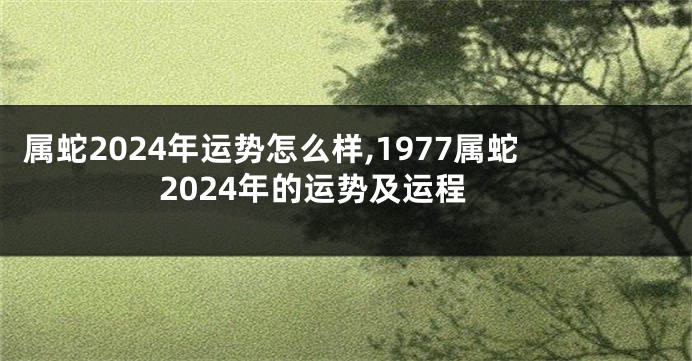 属蛇2024年运势怎么样,1977属蛇2024年的运势及运程