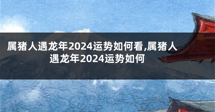 属猪人遇龙年2024运势如何看,属猪人遇龙年2024运势如何