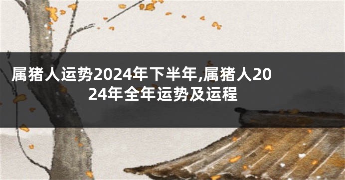 属猪人运势2024年下半年,属猪人2024年全年运势及运程