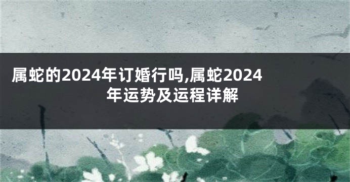 属蛇的2024年订婚行吗,属蛇2024年运势及运程详解