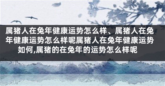 属猪人在兔年健康运势怎么样、属猪人在兔年健康运势怎么样呢属猪人在兔年健康运势如何,属猪的在兔年的运势怎么样呢