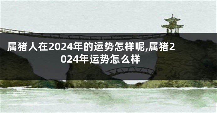 属猪人在2024年的运势怎样呢,属猪2024年运势怎么样