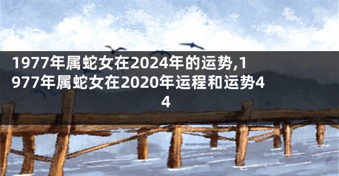 1977年属蛇女在2024年的运势,1977年属蛇女在2020年运程和运势44