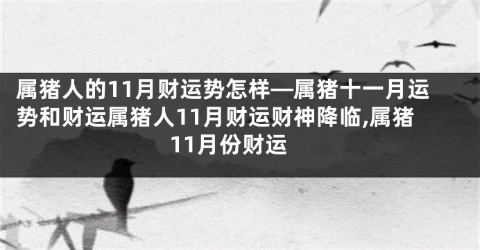 属猪人的11月财运势怎样—属猪十一月运势和财运属猪人11月财运财神降临,属猪11月份财运