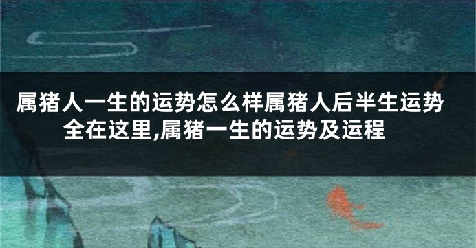 属猪人一生的运势怎么样属猪人后半生运势全在这里,属猪一生的运势及运程