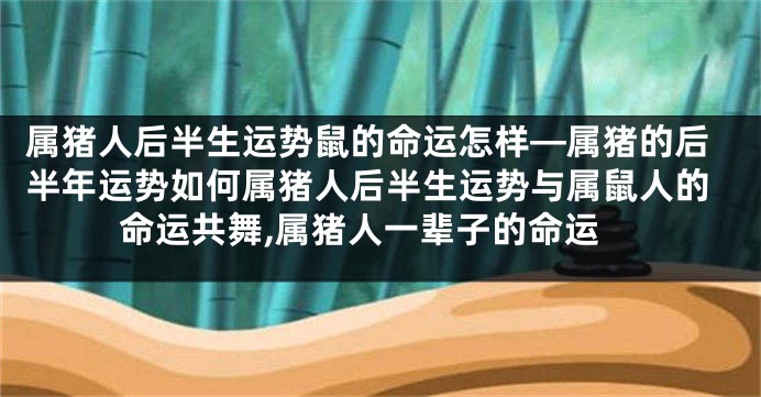 属猪人后半生运势鼠的命运怎样—属猪的后半年运势如何属猪人后半生运势与属鼠人的命运共舞,属猪人一辈子的命运