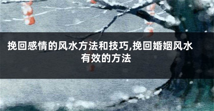 挽回感情的风水方法和技巧,挽回婚姻风水有效的方法