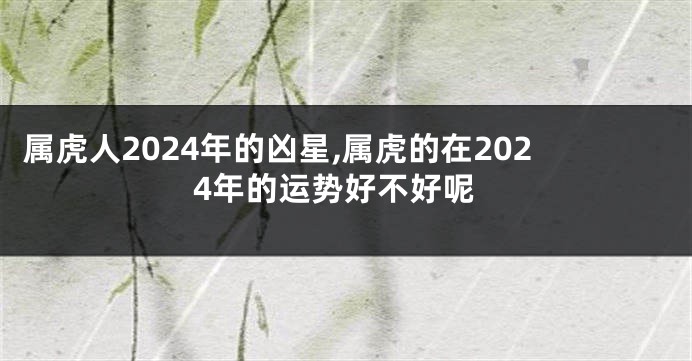 属虎人2024年的凶星,属虎的在2024年的运势好不好呢