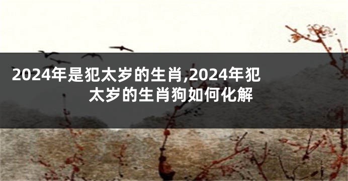 2024年是犯太岁的生肖,2024年犯太岁的生肖狗如何化解