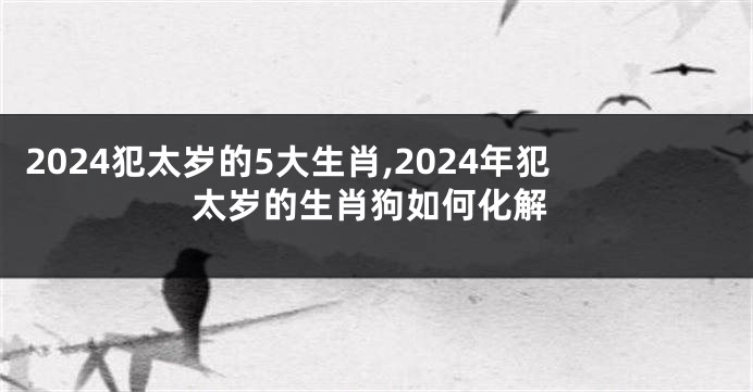 2024犯太岁的5大生肖,2024年犯太岁的生肖狗如何化解