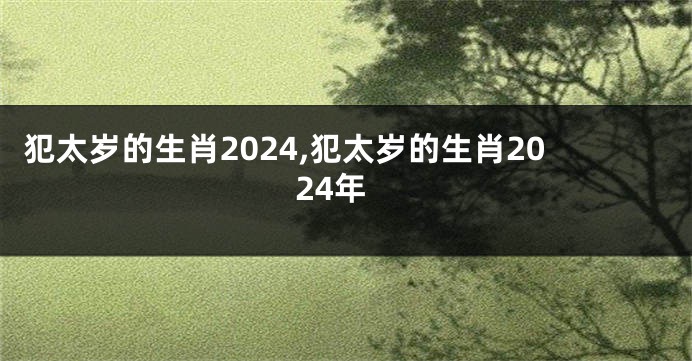 犯太岁的生肖2024,犯太岁的生肖2024年