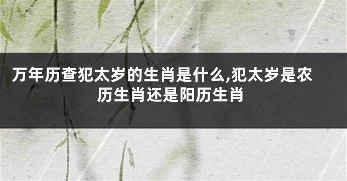 万年历查犯太岁的生肖是什么,犯太岁是农历生肖还是阳历生肖