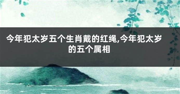 今年犯太岁五个生肖戴的红绳,今年犯太岁的五个属相