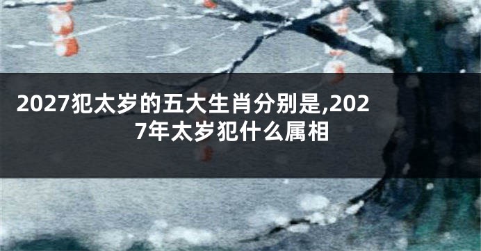 2027犯太岁的五大生肖分别是,2027年太岁犯什么属相