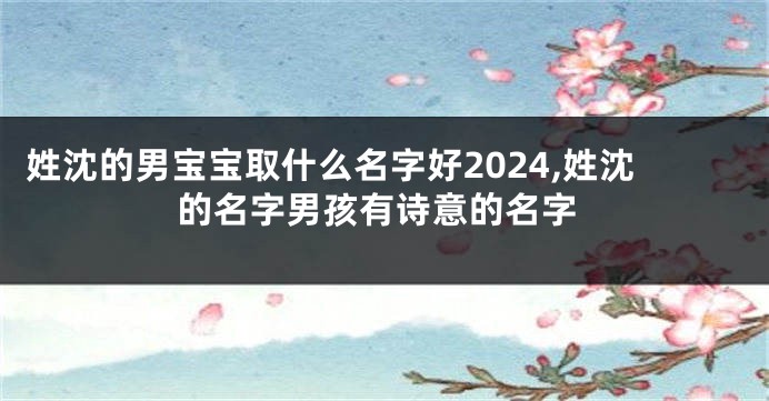 姓沈的男宝宝取什么名字好2024,姓沈的名字男孩有诗意的名字