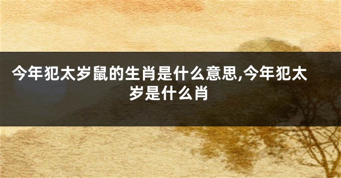 今年犯太岁鼠的生肖是什么意思,今年犯太岁是什么肖