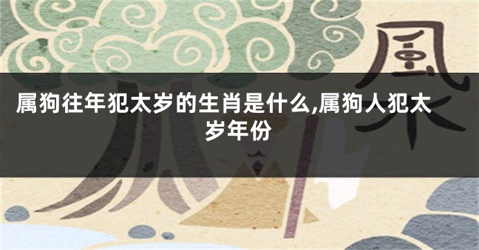 属狗往年犯太岁的生肖是什么,属狗人犯太岁年份