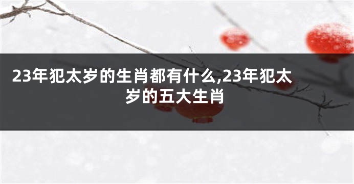 23年犯太岁的生肖都有什么,23年犯太岁的五大生肖