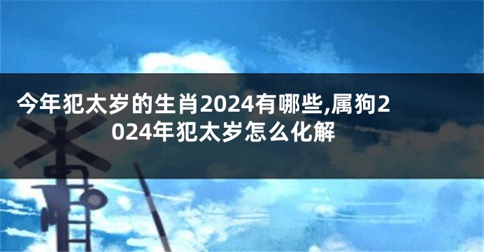 今年犯太岁的生肖2024有哪些,属狗2024年犯太岁怎么化解