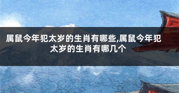 属鼠今年犯太岁的生肖有哪些,属鼠今年犯太岁的生肖有哪几个