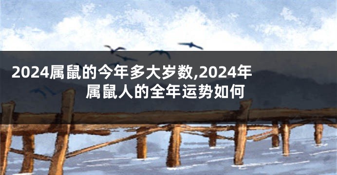 2024属鼠的今年多大岁数,2024年属鼠人的全年运势如何