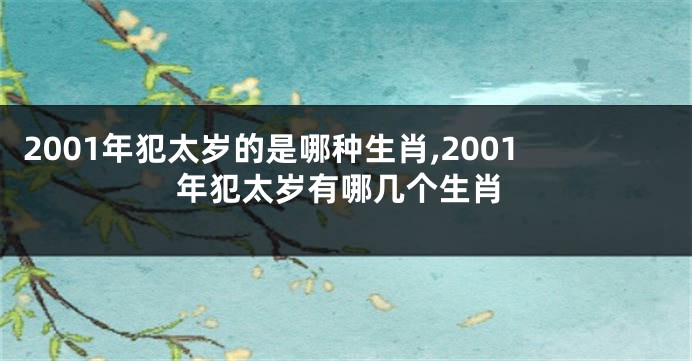 2001年犯太岁的是哪种生肖,2001年犯太岁有哪几个生肖