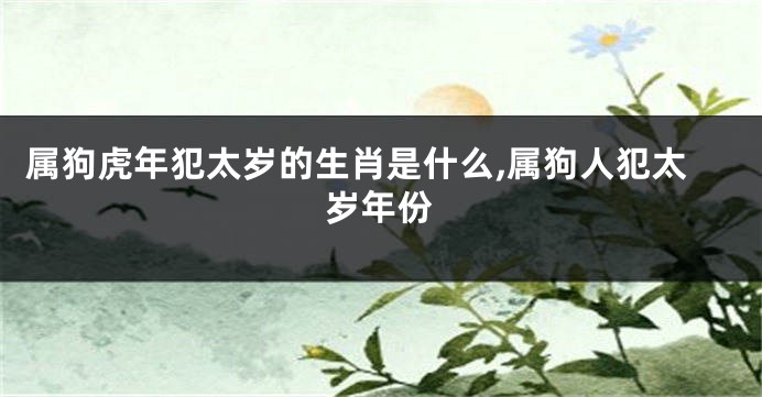 属狗虎年犯太岁的生肖是什么,属狗人犯太岁年份