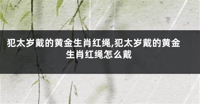 犯太岁戴的黄金生肖红绳,犯太岁戴的黄金生肖红绳怎么戴